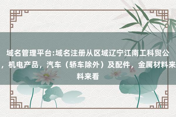 域名管理平台:域名注册从区域辽宁江南工科贸公司，机电产品，汽车（轿车除外）及配件，金属材料来看